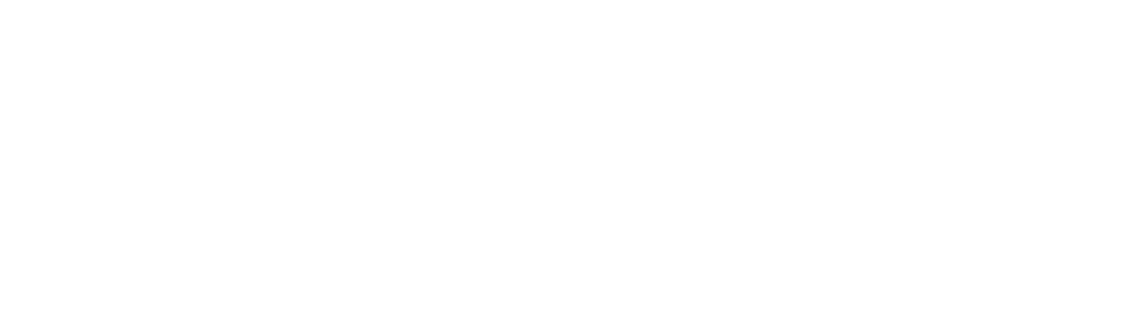 Diginith LLC